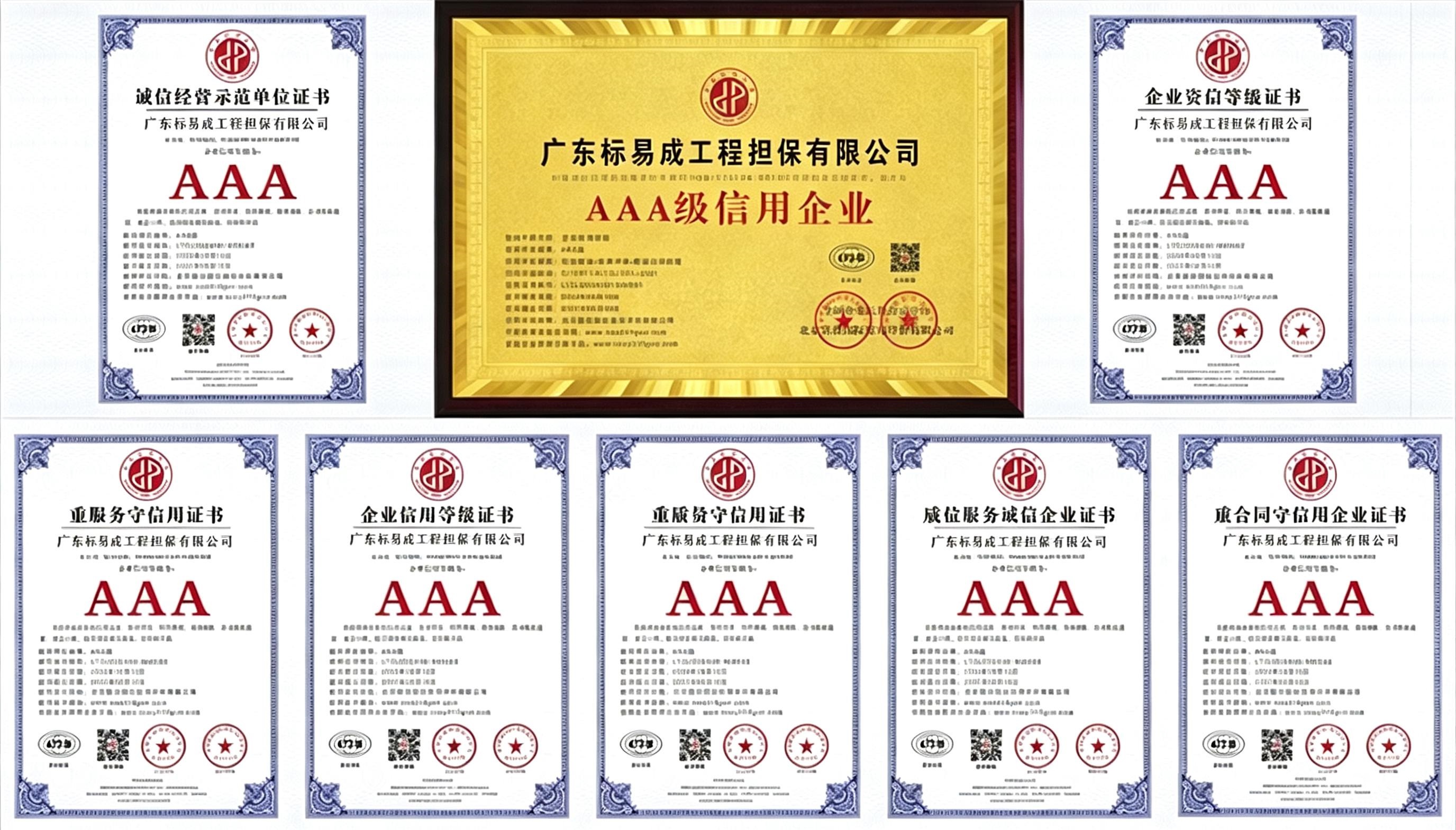 广东标易成工程担保有限公司